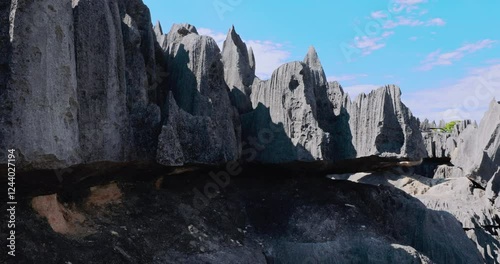 The Unique Tsingy de Bemaraha Stone Forest In Madagascar