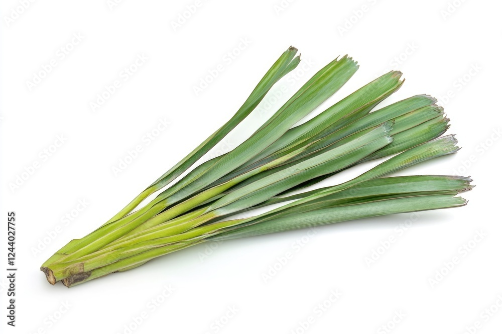 Fresh green onions arranged on a clean white surface Fresh green onions arranged on a clean white surface