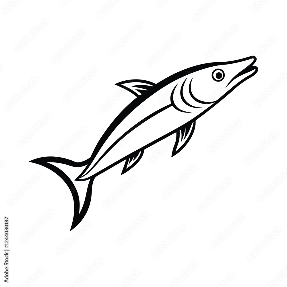 barracuda