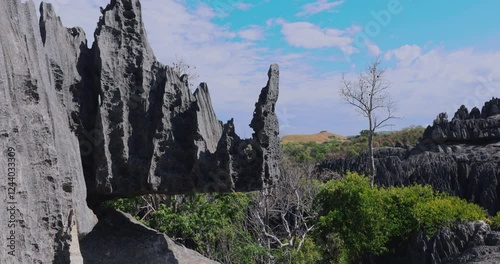 The Unique Tsingy de Bemaraha Stone Forest In Madagascar