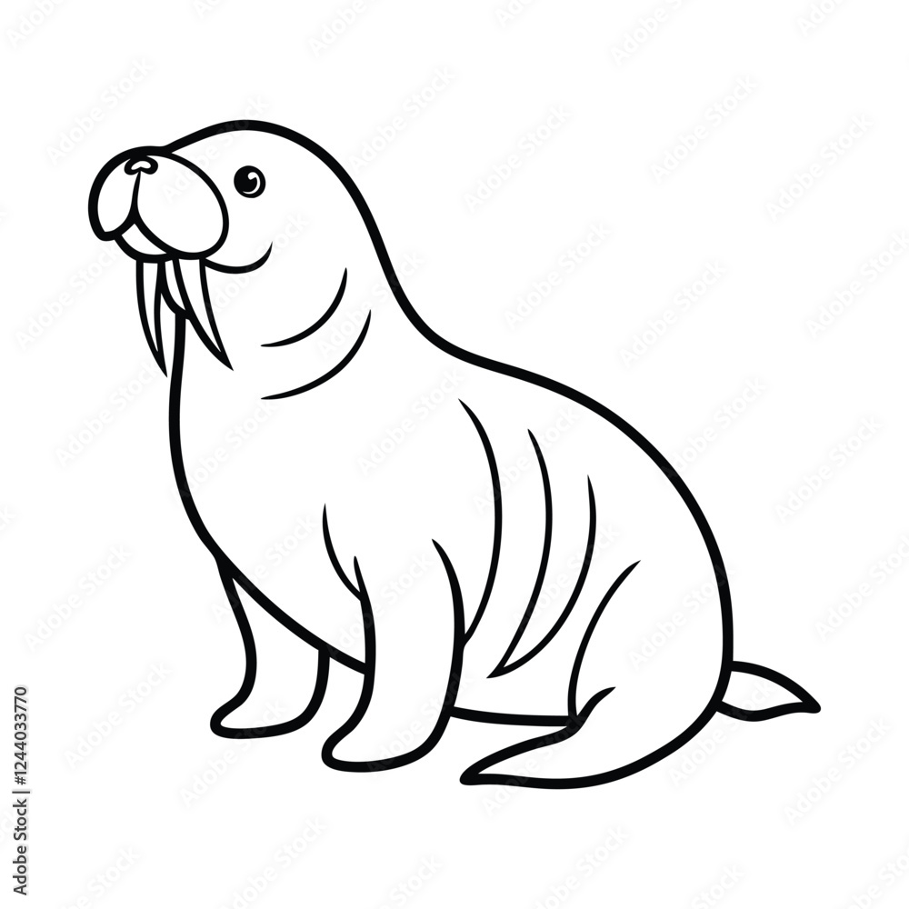 walrus walrus