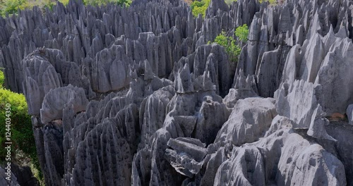 The Unique Tsingy de Bemaraha Stone Forest In Madagascar