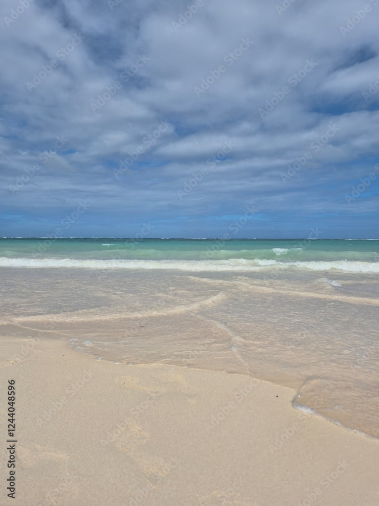 landscape of a paradisiacal beach in Punta Cana, Dominican Republic landscape of a paradisiacal beach in Punta Cana, Dominican Republic