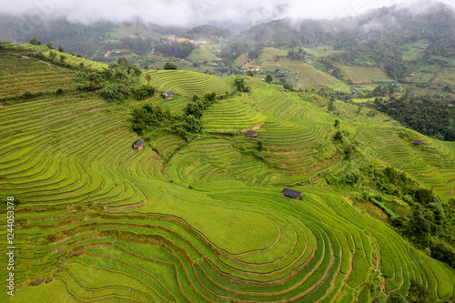 Verdant Rice Terraces in Mu Cang Chai, Vietnam photo