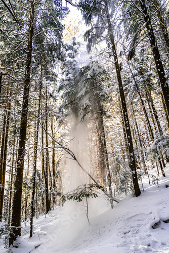 Fototapeta Naklejka Na Ścianę i Meble -  Pieniny , góry, zima, śnieg, Karpaty, mgły, Tatry, Dunajec