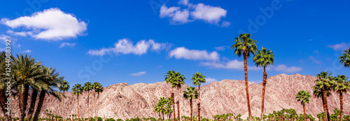 san jacinto mountain, palm springs, california