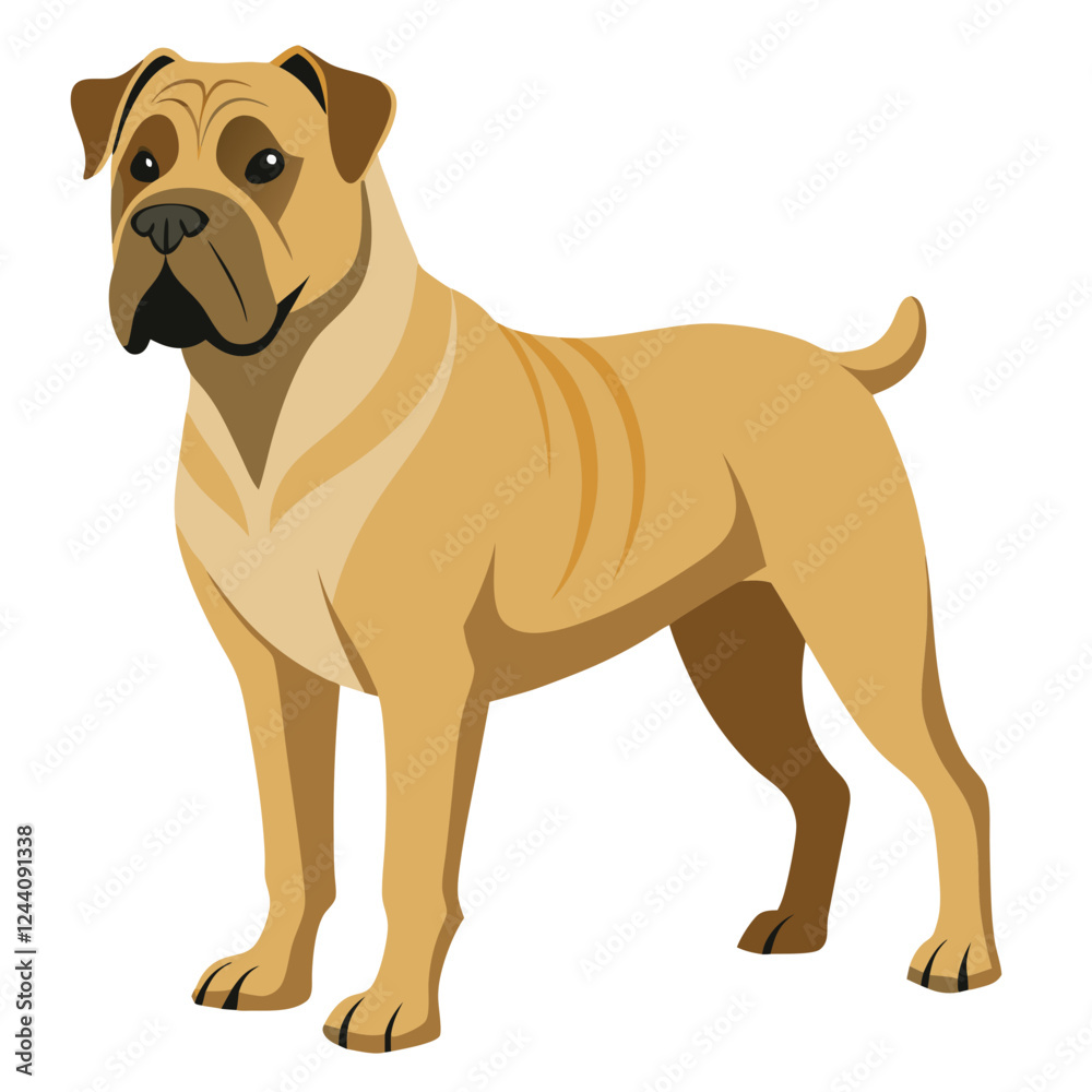Fototapeta premium bullmastiff dog isolated on white, Color vector illustration. Pet animal 