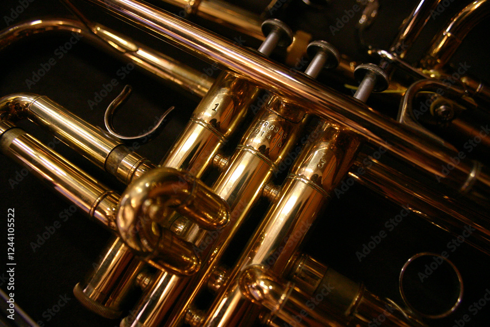 Obraz premium Trompettes et Pistons en cuivre