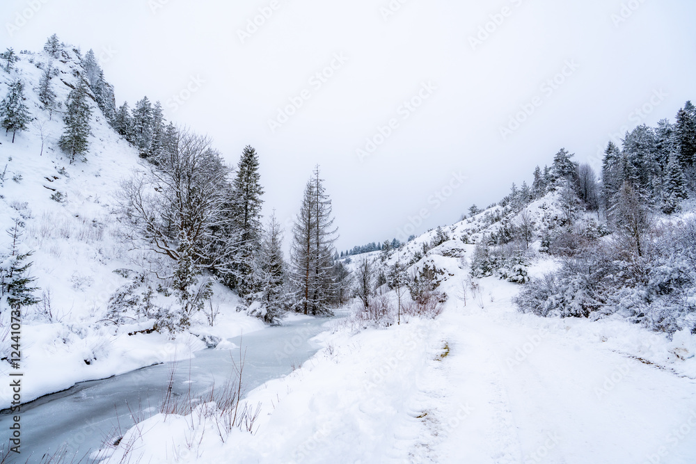 Pieniny , góry, zima, śnieg, Karpaty, mgły, Tatry, Dunajec