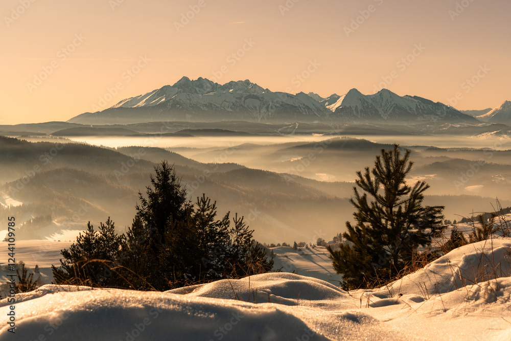 Pieniny , góry, zima, śnieg, Karpaty, mgły, Tatry