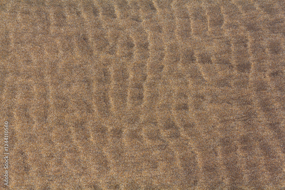 current ripple marks in the sand current ripple marks in the sand
