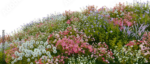 Fototapeta Naklejka Na Ścianę i Meble -  3D render of many kinds of flower fields on a hill with transparent background.