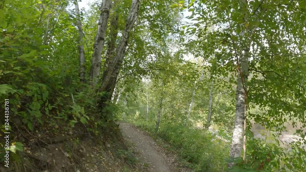 Action camera while riding mountain bike along a narrow winding forest trail
Action camera while riding mountain bike along a narrow winding forest trail
