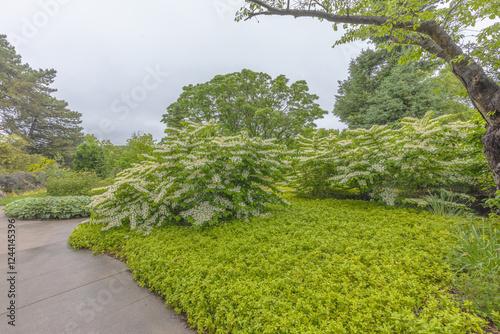 Botanical Garden In Springtime photo