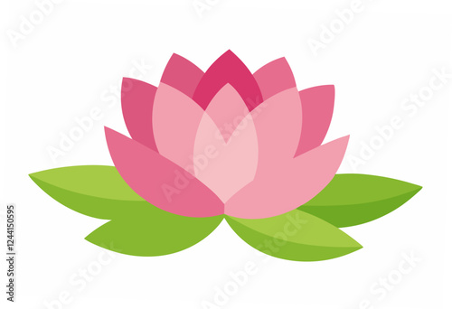 pink lotus flower