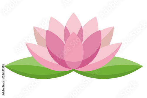 lotus flower vector illustration