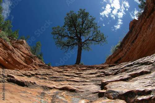 Earthscape
