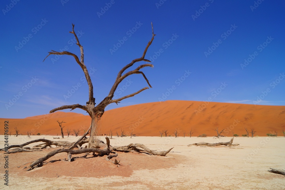 Sea of dunes in the Sossusvlei salt flat, Namib-Naukluft National Park, Namibia Sea of dunes in the Sossusvlei salt flat, Namib-Naukluft National Park, Namibia