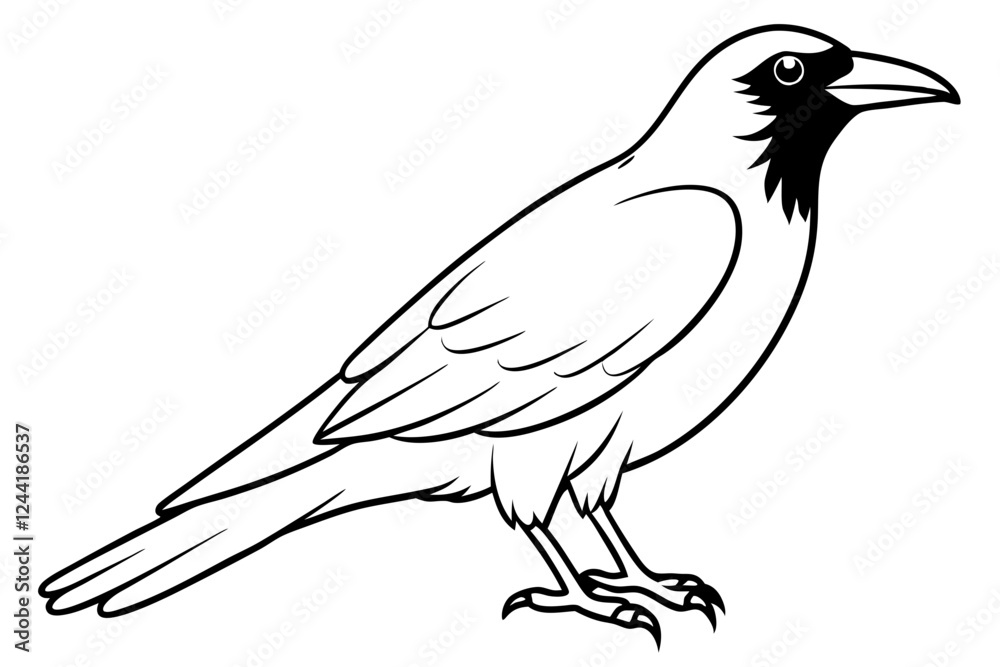 Fototapeta premium crow silhouette line art vector illustration with a white background