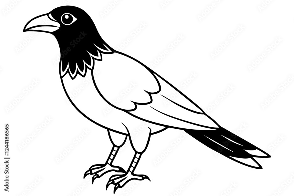 Obraz premium crow silhouette line art vector illustration with a white background