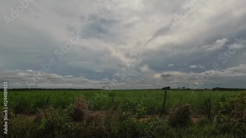 Cultivated field seen from a vehicle. Storm clouds over the field.