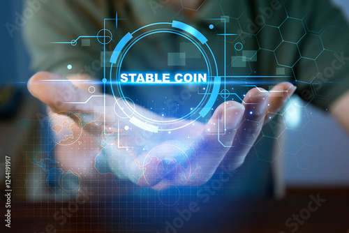 The concept of using stablecoins in the financial system