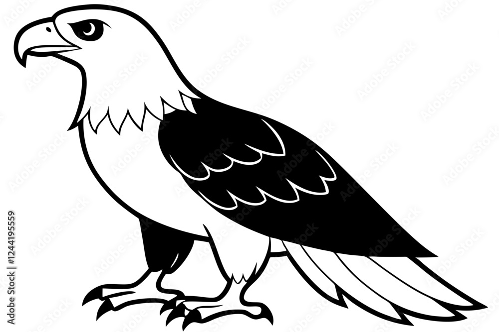 Fototapeta premium eagle silhouette line art vector illustration with a white background