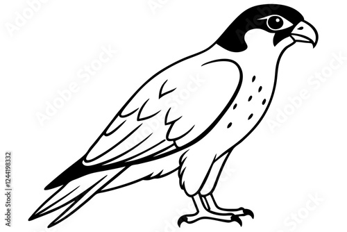 falcon silhouette line art vector illustration with a white background