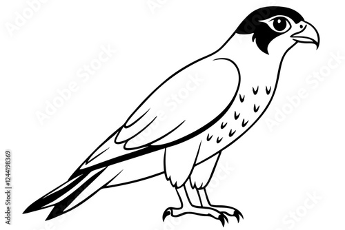 falcon silhouette line art vector illustration with a white background photo