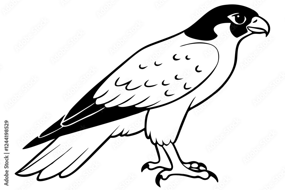 Fototapeta premium falcon silhouette line art vector illustration with a white background
