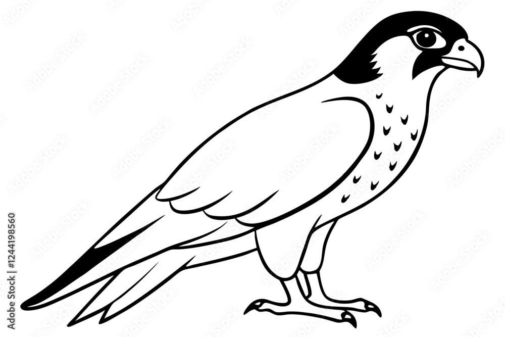 Fototapeta premium falcon silhouette line art vector illustration with a white background