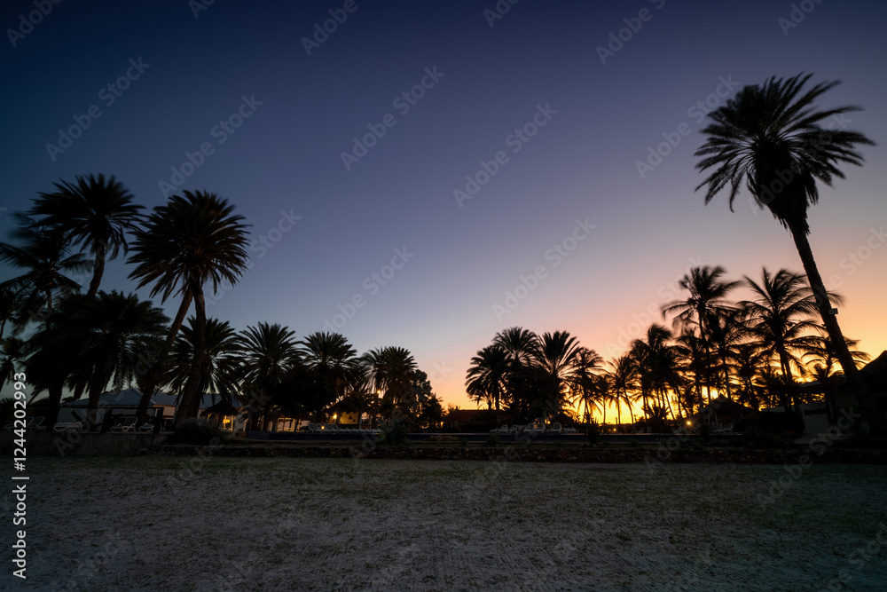 Fototapeta premium Sunrise on a tropical island, sea beach, palm trees, peaceful sunrise, morning on a paradise beach, summer vacation, holiday.