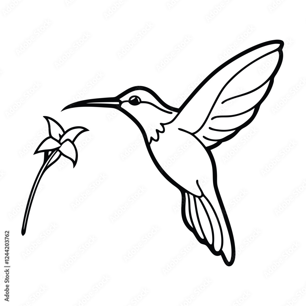 Obraz premium Humming bird vactor illustration
