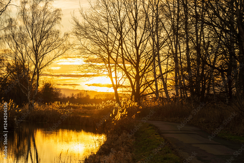 Ein Radweg bei Sonnenuntergang im Spreewald