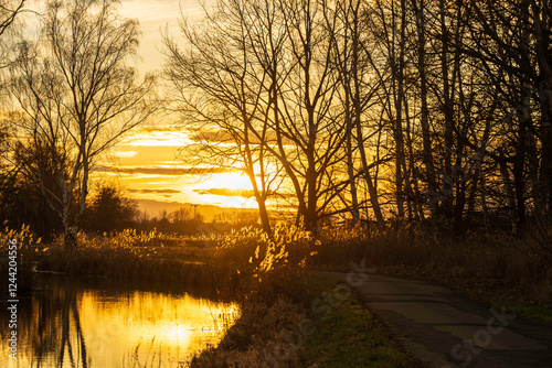 Obraz na płótnie Ein Radweg bei Sonnenuntergang im Spreewald w salonie