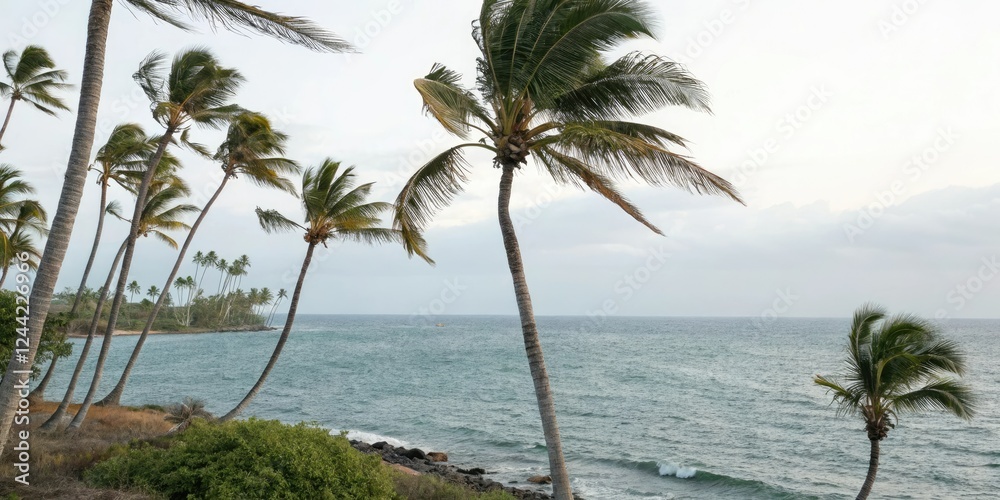 Obraz premium Palm trees swaying gently in the ocean breeze, island, peaceful, vacation, wave