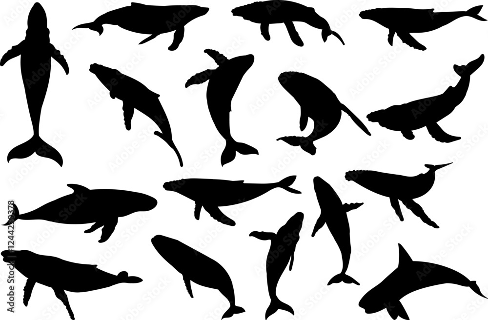 Fototapeta premium blue whale set silhouette on white background vector