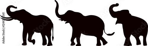 elephants silhouette on white background vector