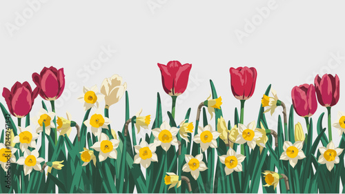 Tulips and Daffodils Floral Vector Illustration