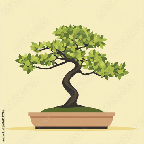 bonsai tree