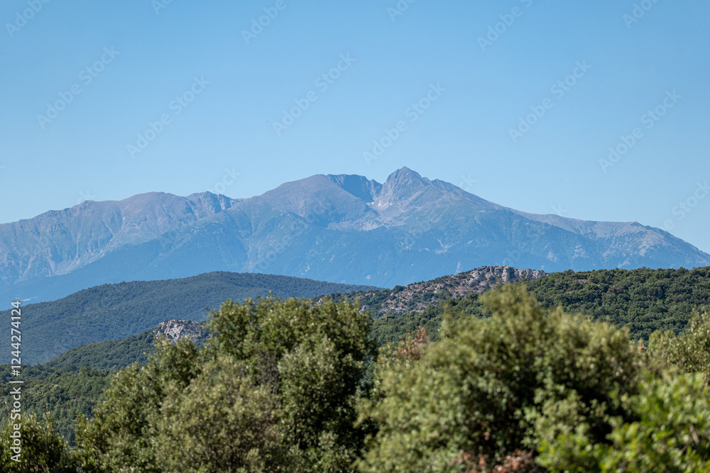 Fototapeta premium mountain landscape with trees