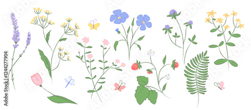 Collection of hand drawn wildflowers, butterflies. Delicate floral illustration with pencil texture in pastel colors. Decoration for spring, summer designs invitations, patterns, prints, greeting card