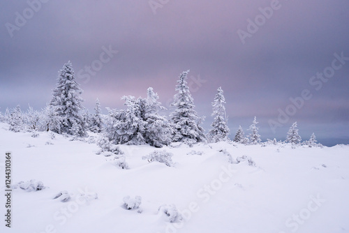 Fototapeta Naklejka Na Ścianę i Meble -  Landscapes from the road to Śnieżne Kotły in the Karkonosze Mountains, Poland