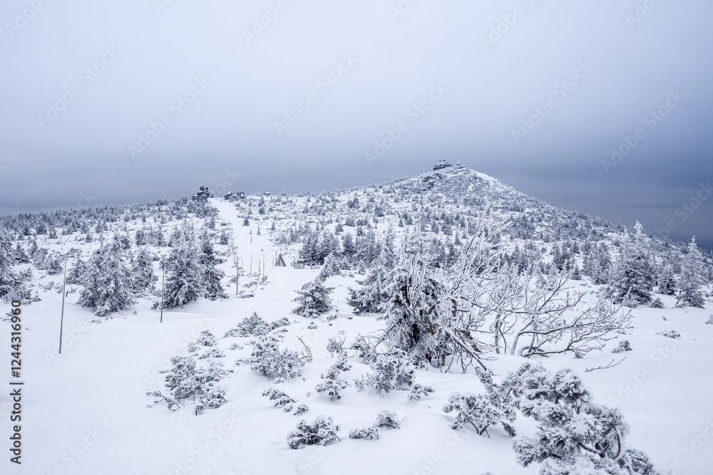 Obraz premium View towards Szrenica, a mountain peak located in the western part of the Karkonosze Mountains.