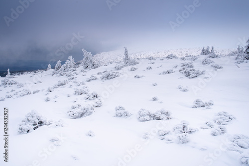 Fototapeta Naklejka Na Ścianę i Meble -  Landscapes from the road to Śnieżne Kotły in the Karkonosze Mountains, Poland