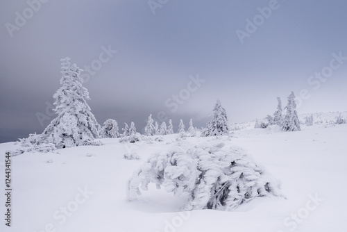 Fototapeta Naklejka Na Ścianę i Meble -  Landscapes from the road to Śnieżne Kotły in the Karkonosze Mountains, Poland