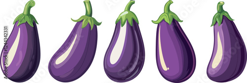 isolated vector illustration of eggplants