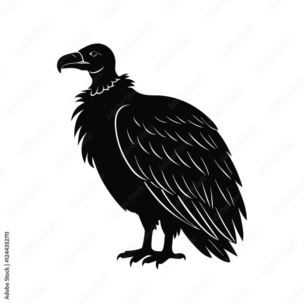 Obraz premium vulture vector illustration