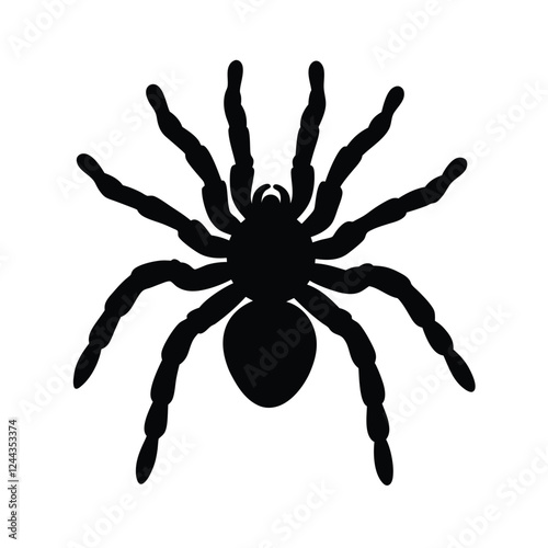 vector illustration of a spider