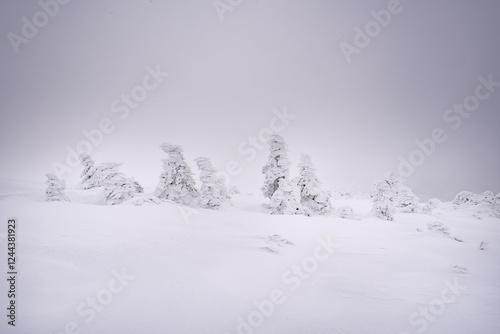 Fototapeta Naklejka Na Ścianę i Meble -  Landscapes from the road to Śnieżne Kotły in the Karkonosze Mountains, Poland